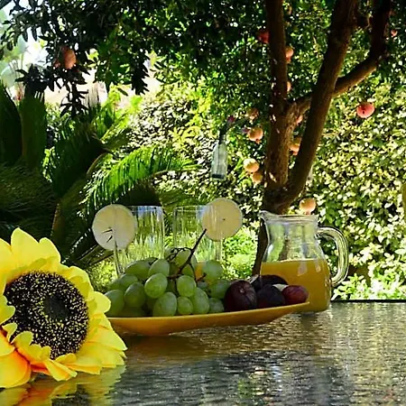 Bed & Breakfast Profumo Di Mare Gallipoli